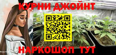 шишки Ирбит
