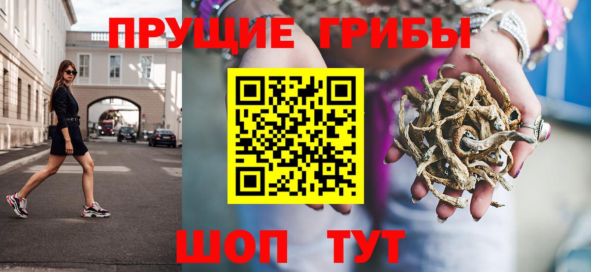 Галлюциногенные грибы Cubensis Гуково