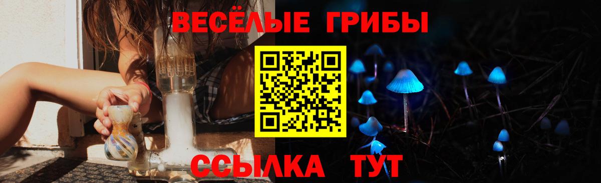 Псилоцибиновые грибы Psilocybe  Вход с VPN  даркнет сайт  Гуково 